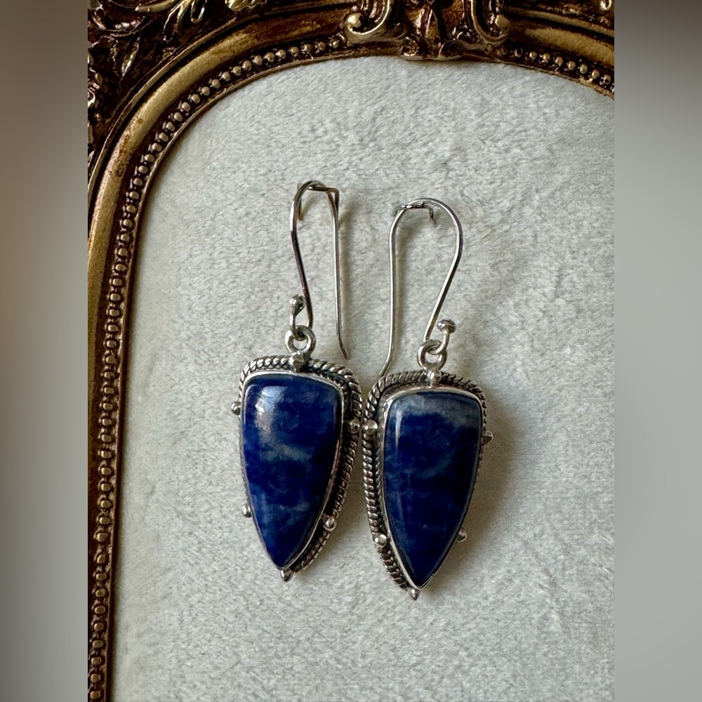 Elegant Silver and Blue Stone Earrings NWOT